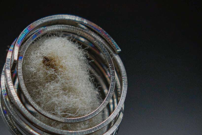 Trend Report on Wales Nicotine — limited batch