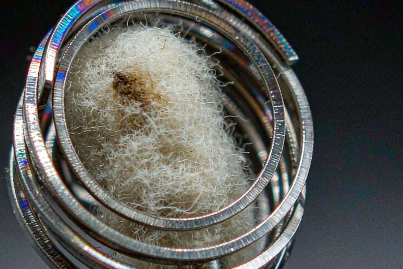 Warehouse Options for Nicotine coils — small parcel
