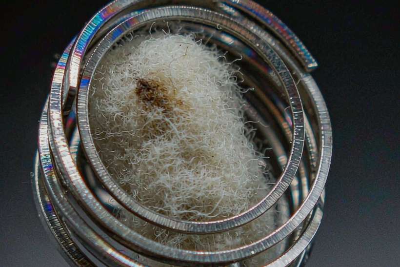 Warehouse Options for Nicotine disposables — OEM available