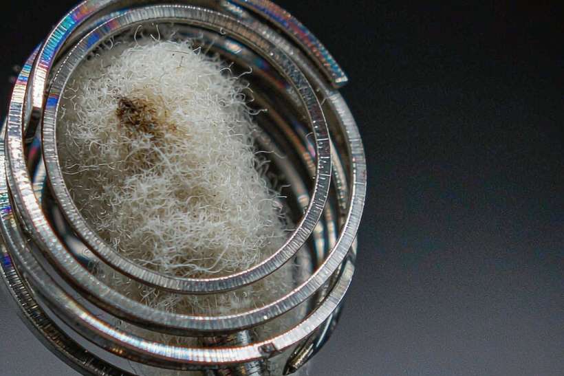 Warehouse Options for Nicotine hardware — Middle East