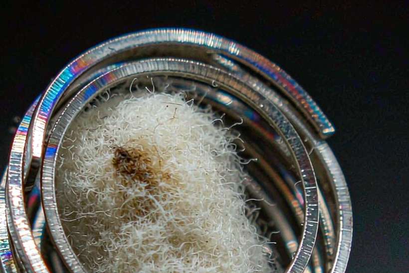 Warranty Notes for Nicotine accessories — Asia Pacific