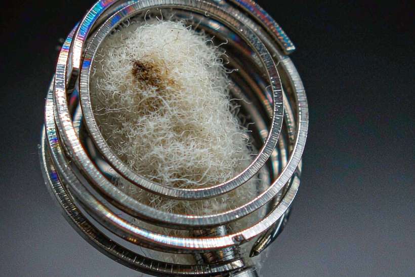 Warranty Notes for Wales Nicotine — Winter special
